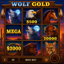 RainBet - Wolf Gold Slot Game - Pragmatic Play